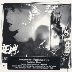 Cover Amusement Parks On Fire