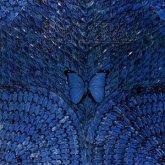 Borboletta Borboletta