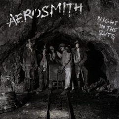 Cover Night In The Ruts