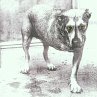 Alice In Chains - Bild 1