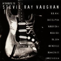 A Tribute To Stevie Ray Vaughan - Stevie Ray Vaughan