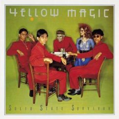 Cover Solid State Survivor