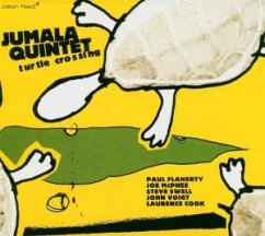 Cover Turtle Crossing