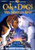 Cats & Dogs - Wie Hund und Katz