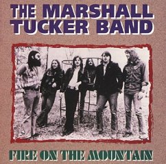 Cover Fire On The Mountain