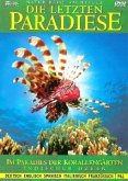 Die letzten Paradiese - Im Paradies der Korallengärten