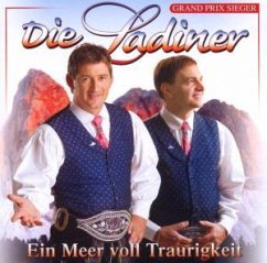 Cover Ein Meer voll traurigkeit