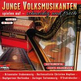 Junge Volksmusikanten Spielen