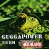 Guggapower Us Em Heidiland - Bild 1