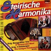 Steirische Harmonika Instrumen