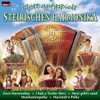Flott Aufgspielt Mit Der Steirischen Harmonika