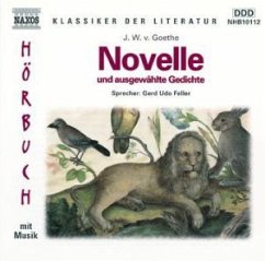 Cover Novelle und ausgewählte Gedichte