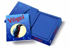 Cover Vögel beobachten und bestimmen, m. Fernglas