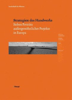Cover Strategien des Handwerks