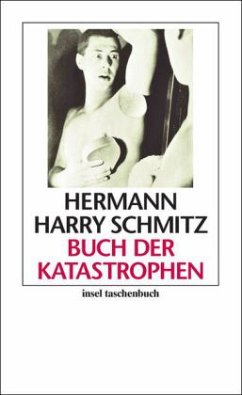 Buch der Katastrophen - Schmitz, Hermann H.