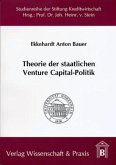 Theorie der staatlichen Venture Capital-Politik.