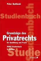 Grundzüge des Privatrechts - Bydlinski, Peter