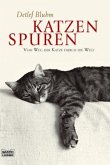 Katzenspuren