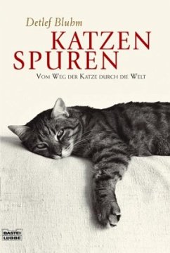 Katzenspuren - Bluhm, Detlef