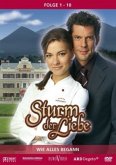 Sturm der Liebe - 1. Staffel