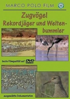 Cover Zugvögel