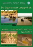 Die Giganten vom Limpopo-Fluss, Hoanib - Leben am unterirdischen Wüstenfluss