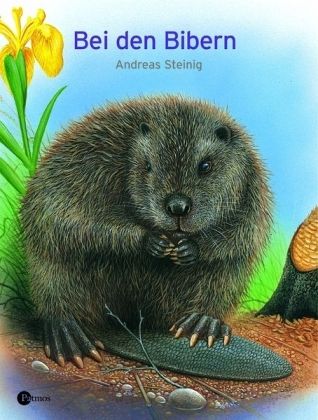 Bei den Bibern Bei den Bibern