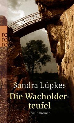 Die Wacholderteufel / Wencke Tydmers Bd.4 - Lüpkes, Sandra