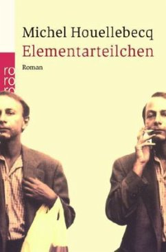 Elementarteilchen - Houellebecq, Michel