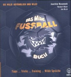 Das Wilde Fussballbuch - Masannek, Joachim; Maier, Norbert; Birck, Jan