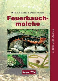 Feuerbauchmolche - Franzen, Michael;Franzen, Ursula