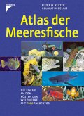 Atlas der Meeresfische (2006)