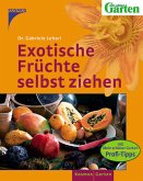 Exotische Früchte selbst ziehen