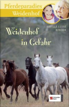 Weidenhof in Gefahr / Pferdeparadies Weidenhof Bd.12 - Binder, Sibylle L.