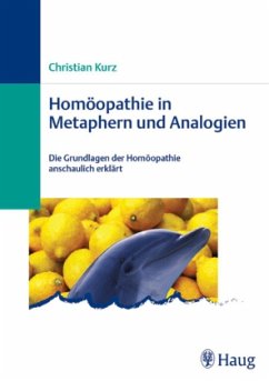 Homöopathie in Metaphern und Analogien - Kurz, Christian