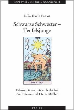 Schwarze Schwester - Teufelsjunge - Patrut, Iulia-Karin