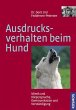 Ausdrucksverhalten beim Hund - Bild 1
