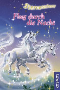 Cover Flug durch die Nacht / Sternenschweif Bd.9
