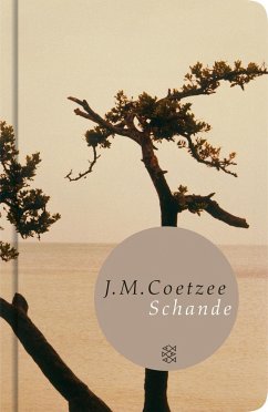 Schande - Coetzee, J. M.