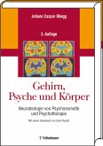 Gehirn, Psyche und Körper-Neurobiologie von Psychosomatik und Psychotherapie