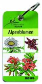 Alpenblumen / Expedition Natur - Fächer