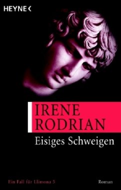 Eisiges Schweigen - Rodrian, Irene