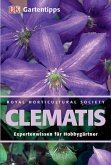 Clematis / DK Gartentipps