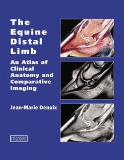 The Equine Distal Limb - Denoix, Jean-Marie