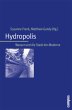Hydropolis - Bild 1