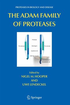 The ADAM Family of Proteases - Hooper, Nigel M. / Lendeckel, Uwe (eds.)
