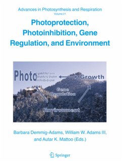 Photoprotection, Photoinhibition, Gene Regulation, and Environment - Demmig-Adams, Barbara / Adams III, William W. / Mattoo, Autar (eds.)