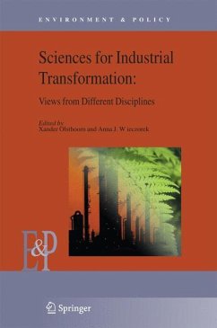 Understanding Industrial Transformation - Olsthoorn, Xander / Wieczorek, Anna J. (eds.)