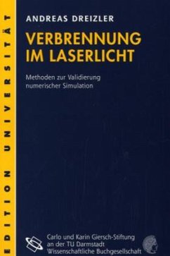 Cover Verbrennung im Laserlicht