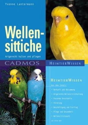 Wellensittiche Wellensittiche